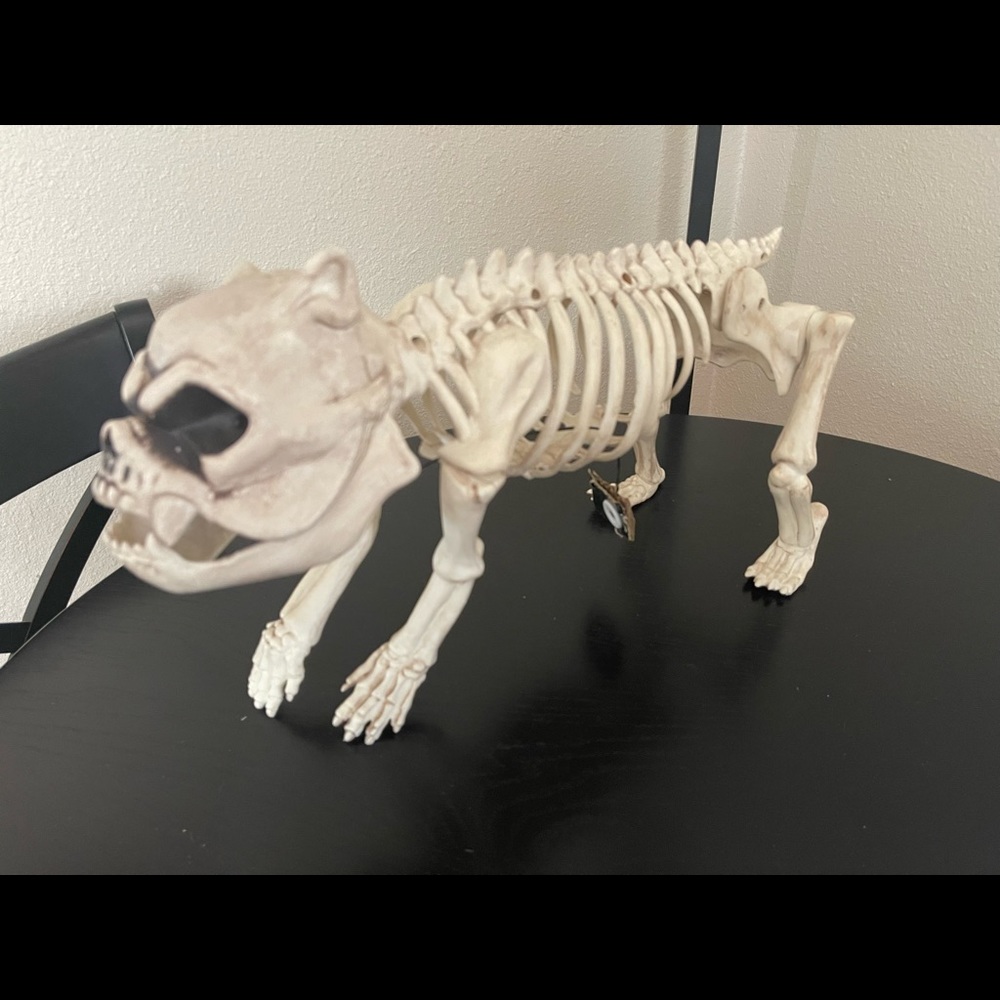 French Bulldog Halloween Skeleton